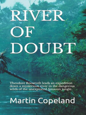cover image of RIVER OF DOUBT.